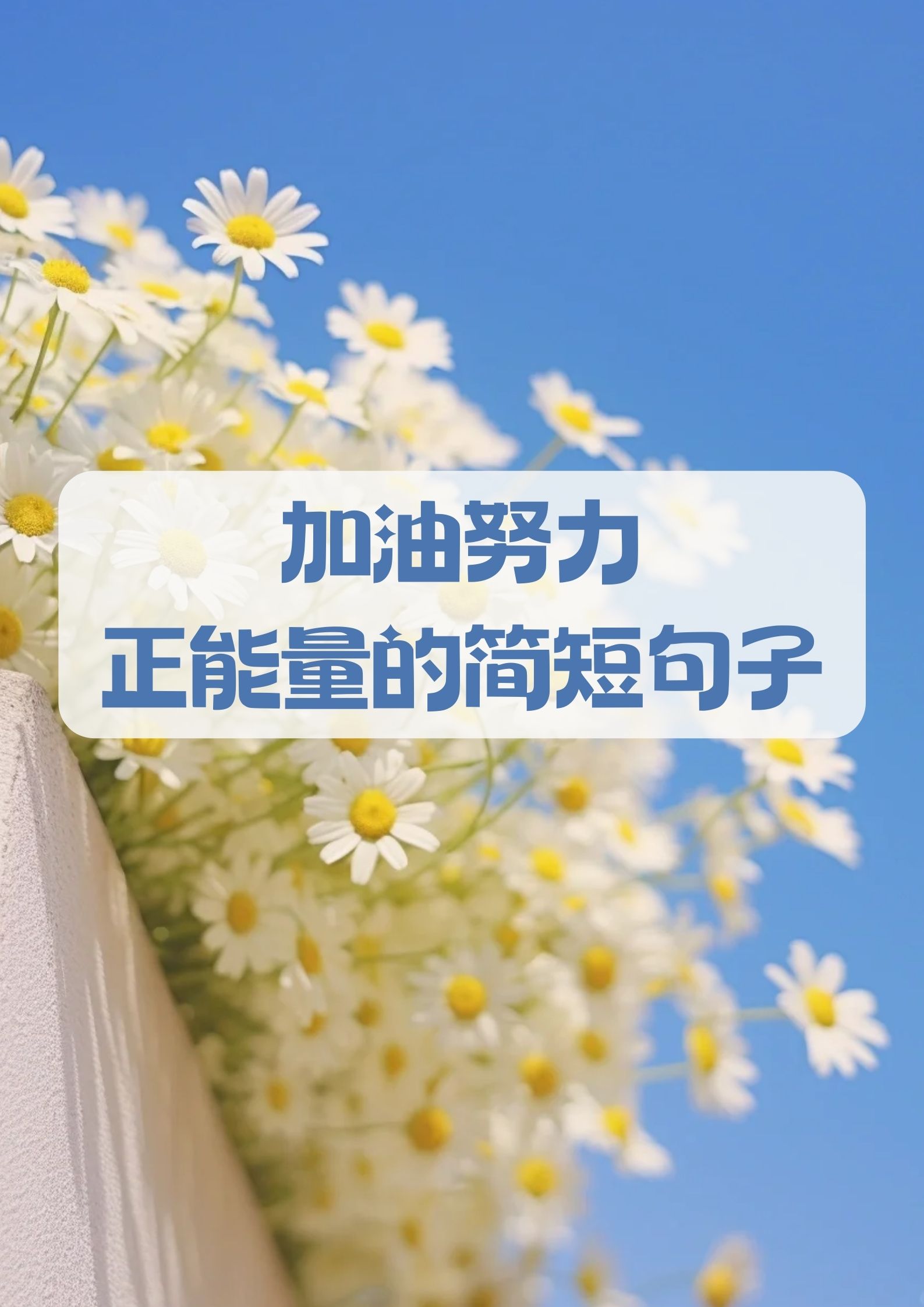 Leyu Sport下载-关于拼搏精神：每一场比赛背后的坚持与梦想的信息