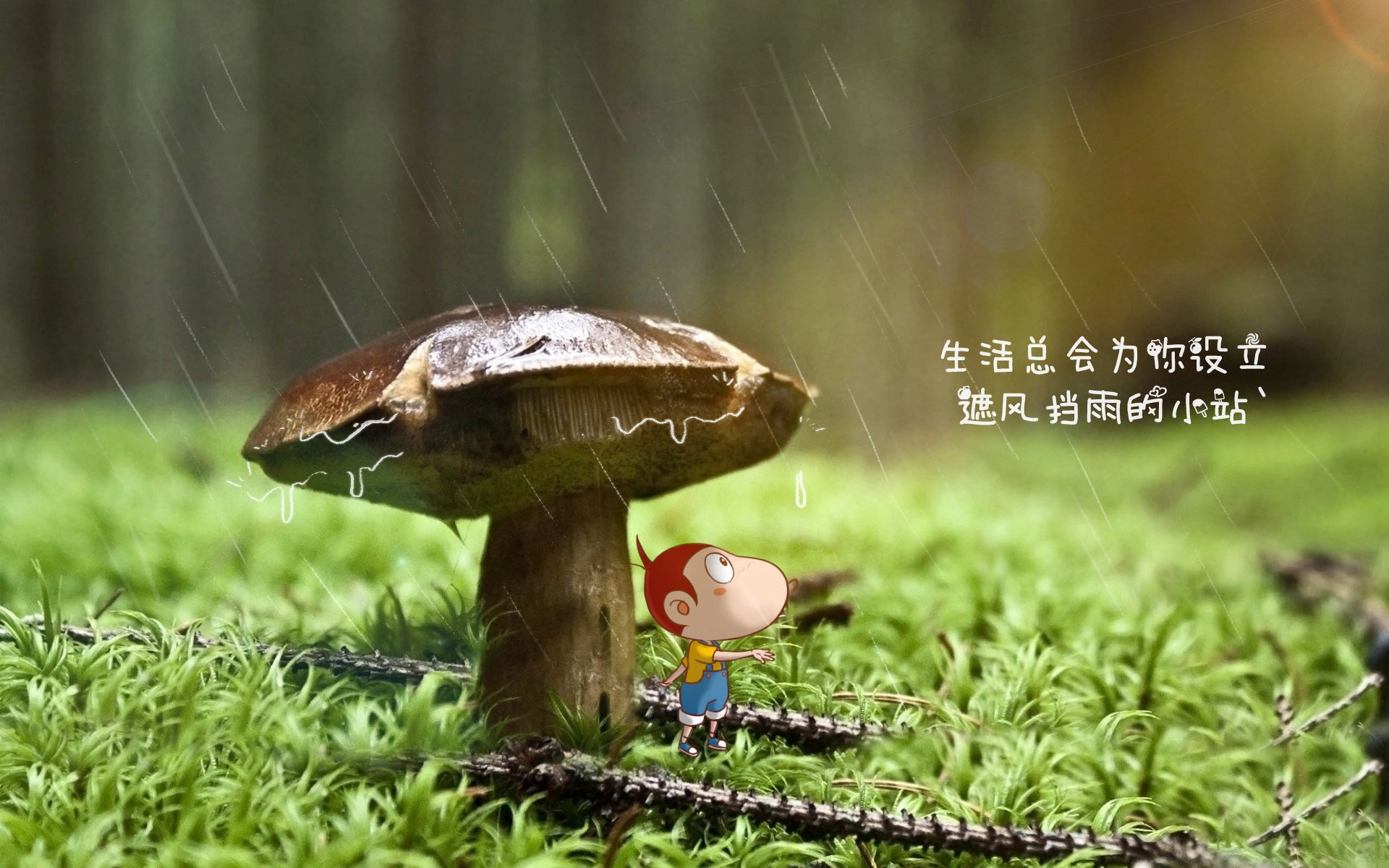 乐鱼app-“球迷投票：年度最感动瞬间你支持谁？”，球迷感人故事