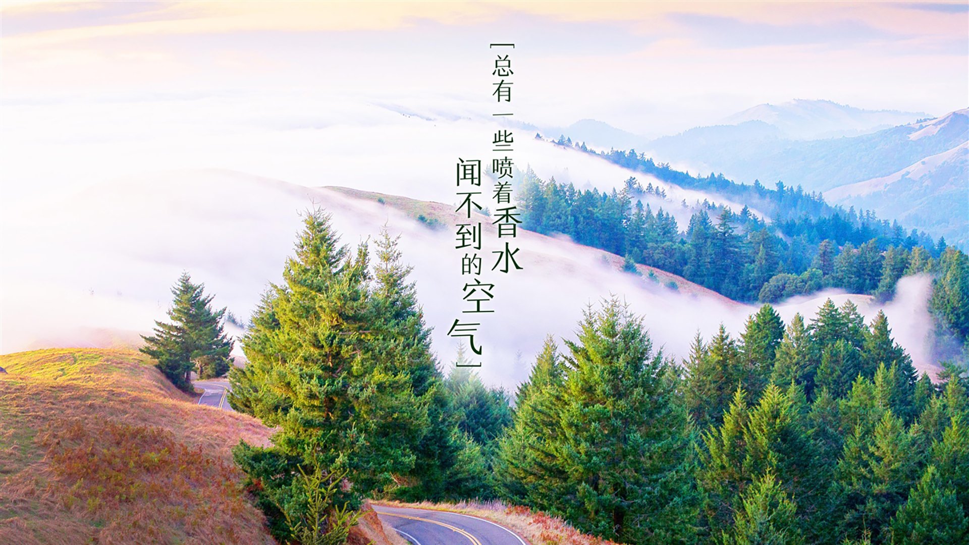 西甲巅峰对决：皇马在客场3-0完胜巴萨，三分夺冠梦继续，1617赛季西甲第33轮皇马vs巴萨