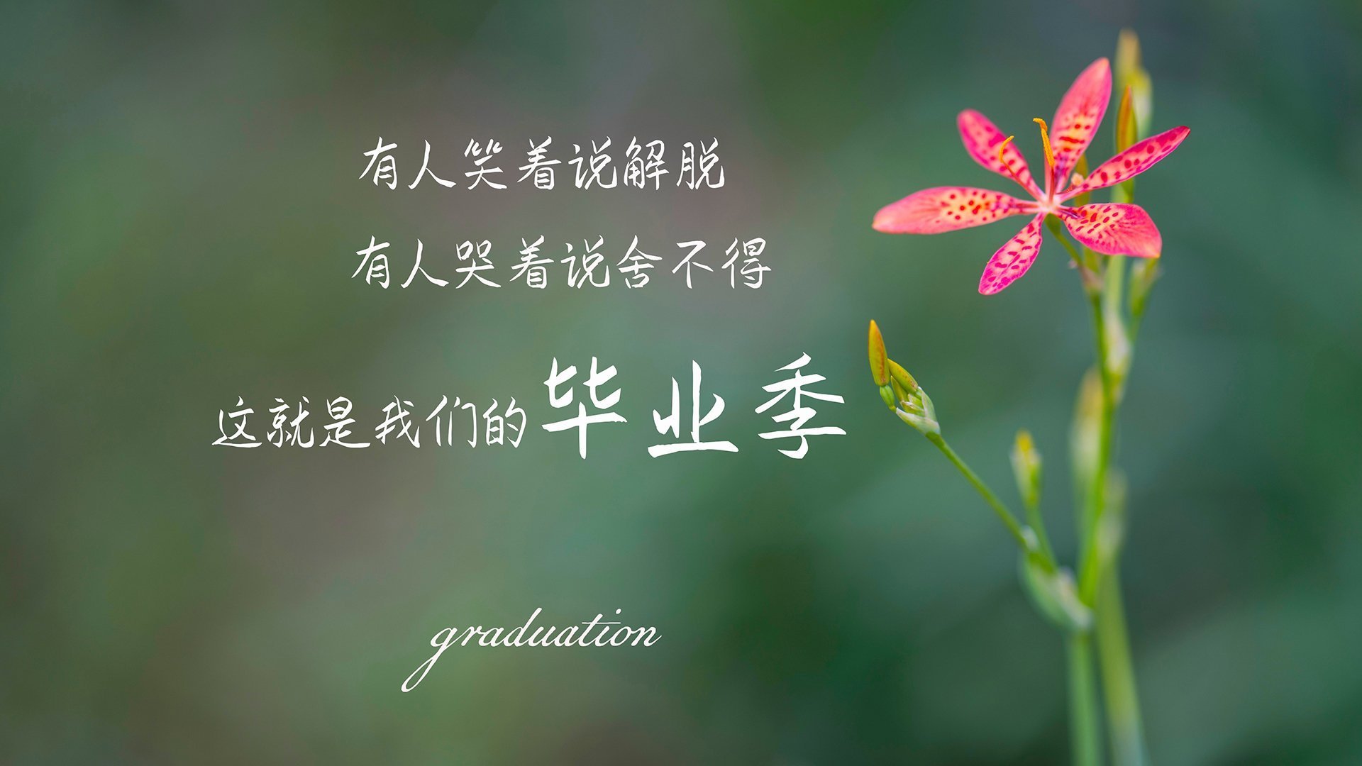 关键球是否仍应交给经验老将，关键球什么意思