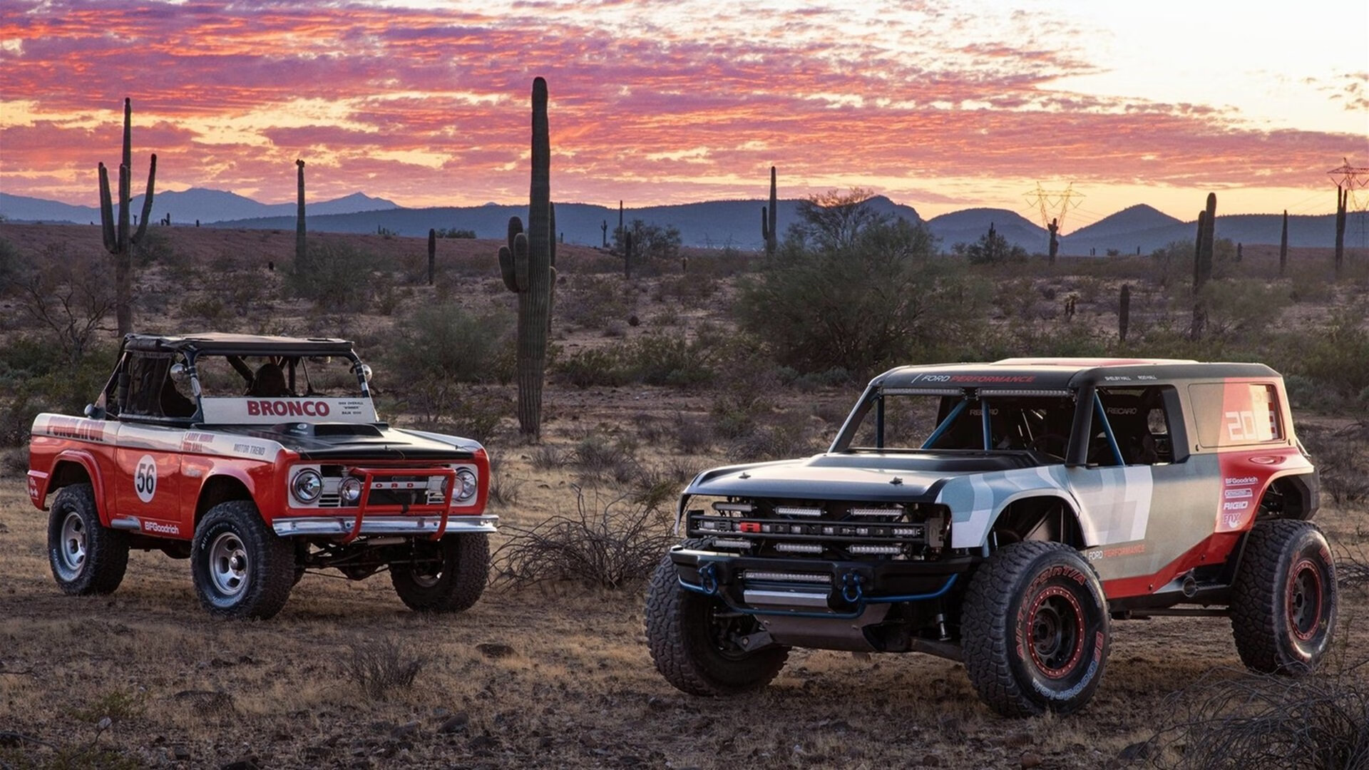 乐鱼电竞-勒沃库森签下荷兰射手，德甲劲旅加强，勒沃库森球队