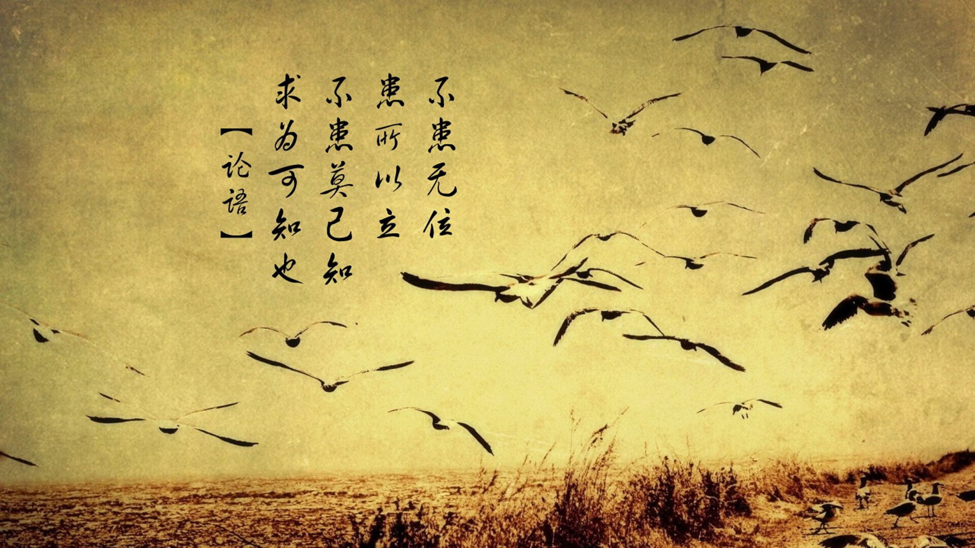 国家队欧国联连胜在握，追逐欧锦赛荣耀之路，欧国联赛程2020谁能拿冠军