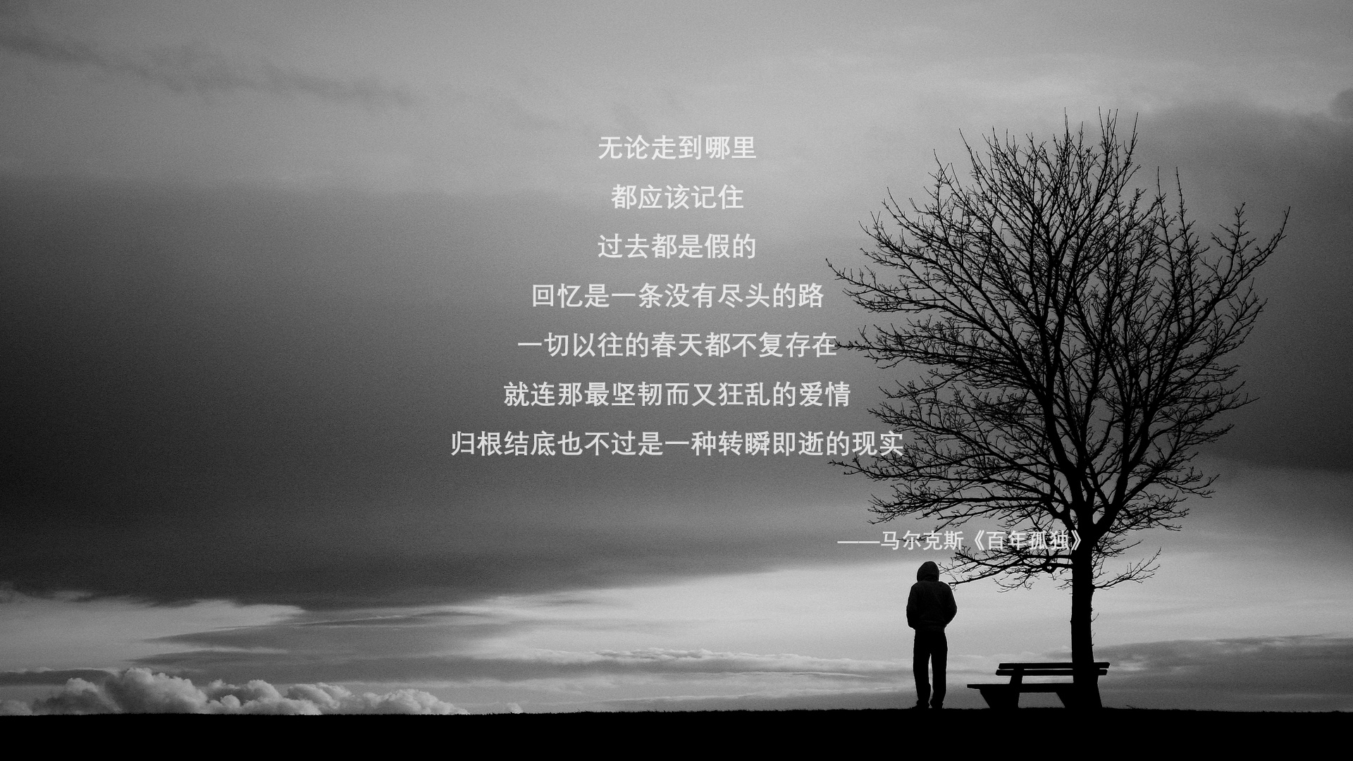扎马莱克连续三场保持零封，防守稳固，扎马雷克ds