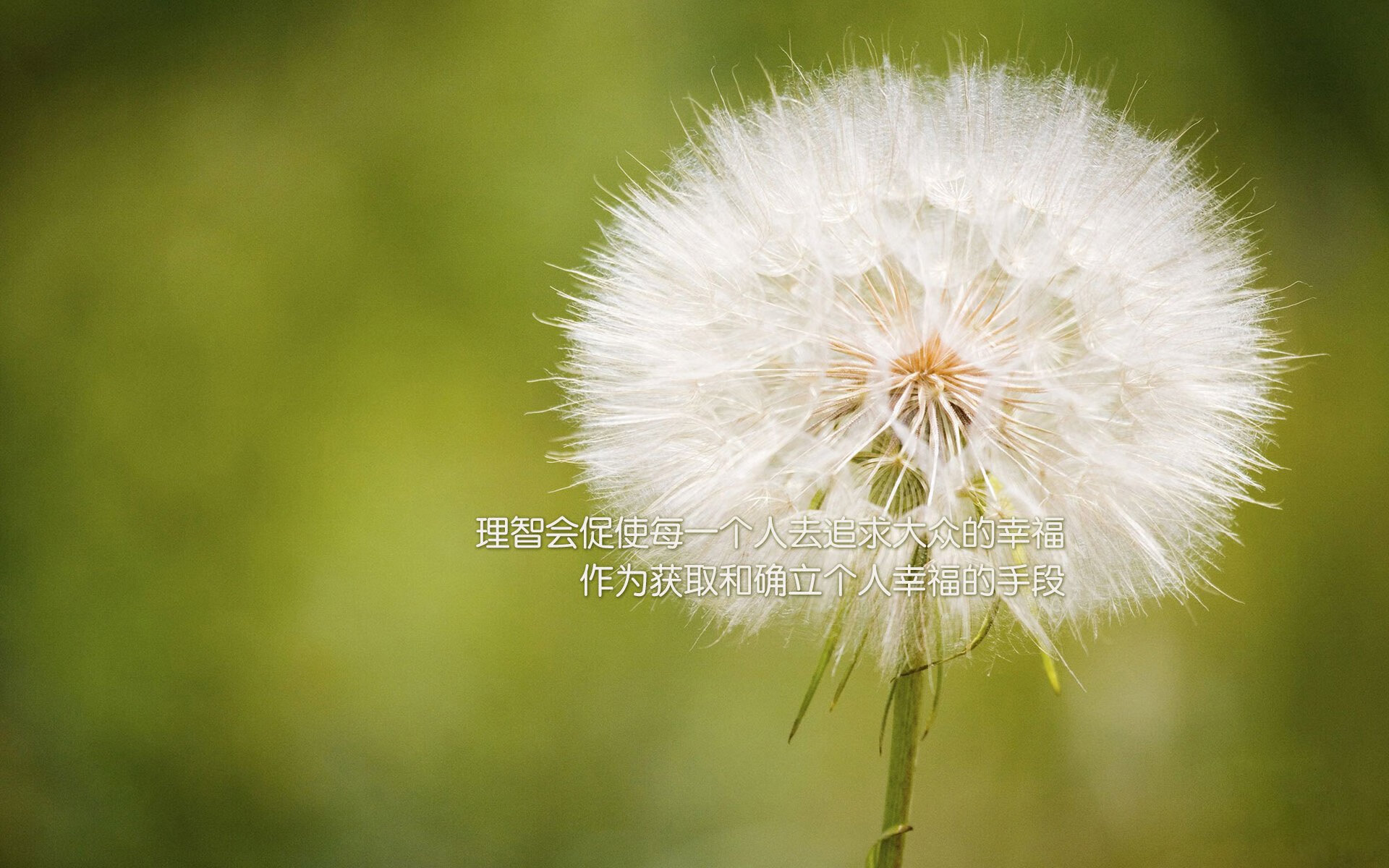 青岛黄海中场被罚下场，影响球队比赛节奏，青岛黄海队主场在哪