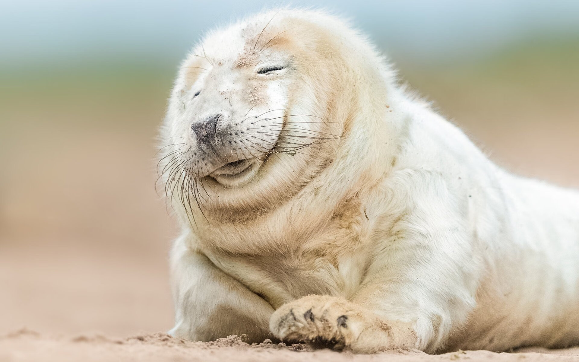 乐鱼app-中国三人篮球女队积极备战国际赛事，中国三人篮球女篮