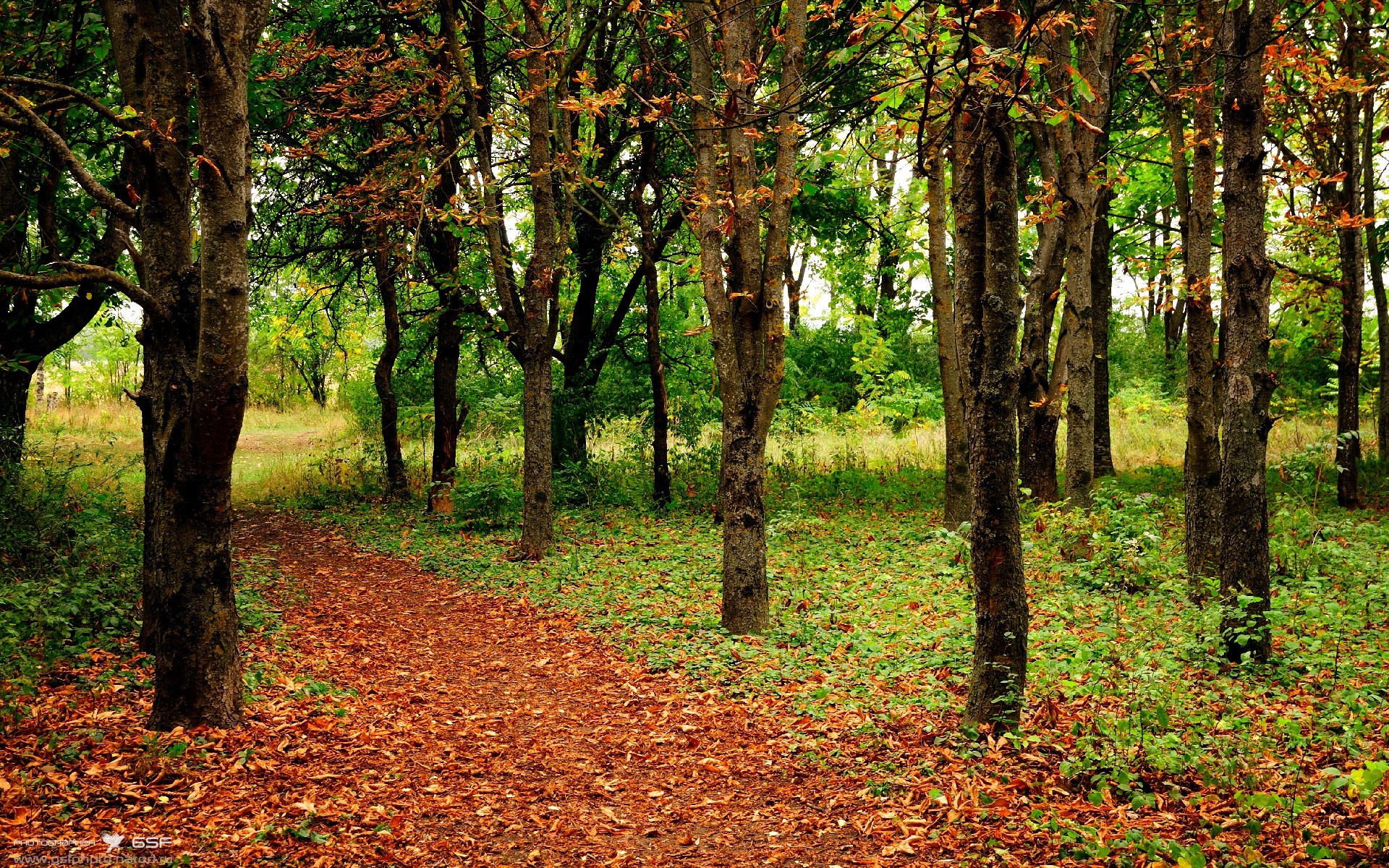 乐鱼体育登录-中国男篮签约新体能教练 科学训练备战新赛季，中国男篮国家集训队教练