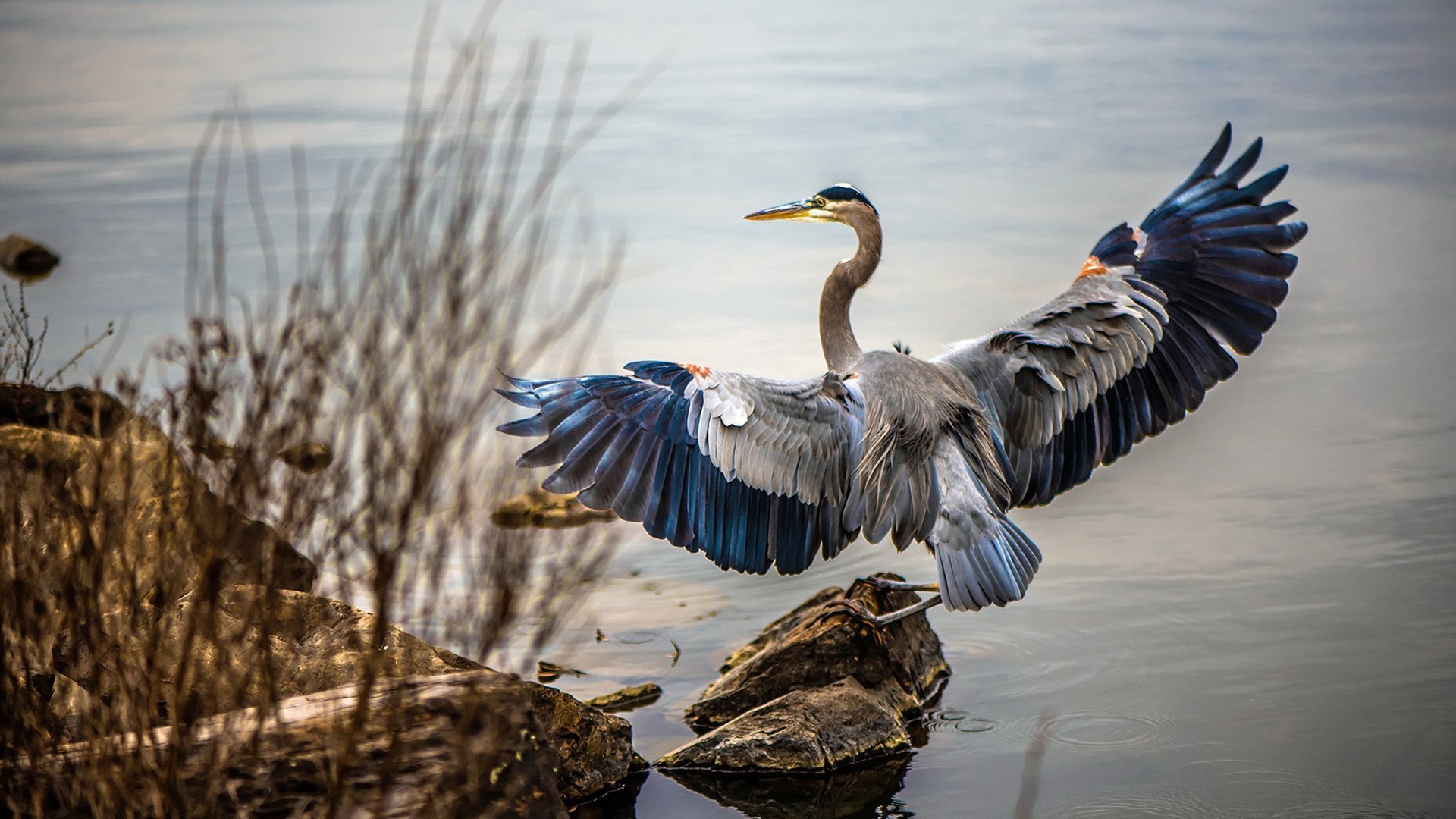 体育新闻中心推动体育赛事版权保护法律体系建设，体育赛事版权如何保护