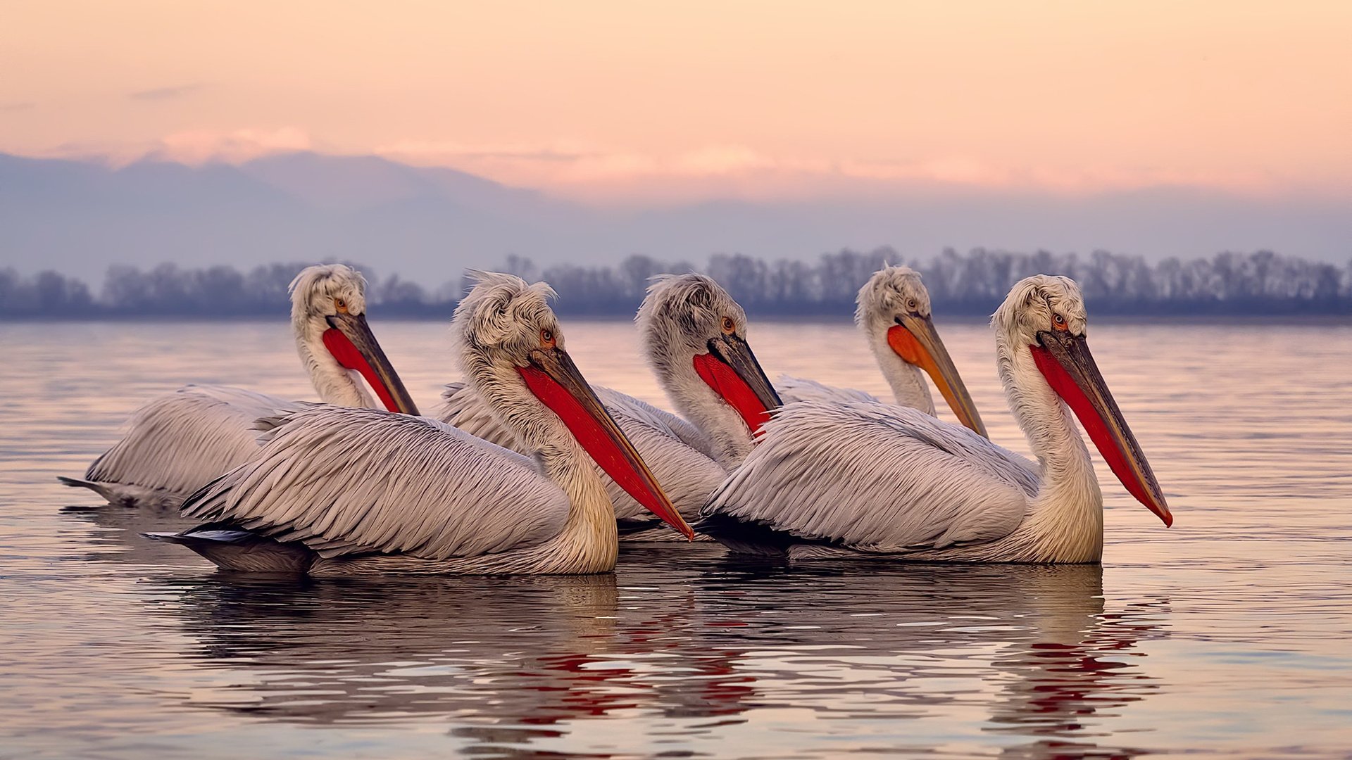 整场比赛节奏把控最成功的球队，全场节奏