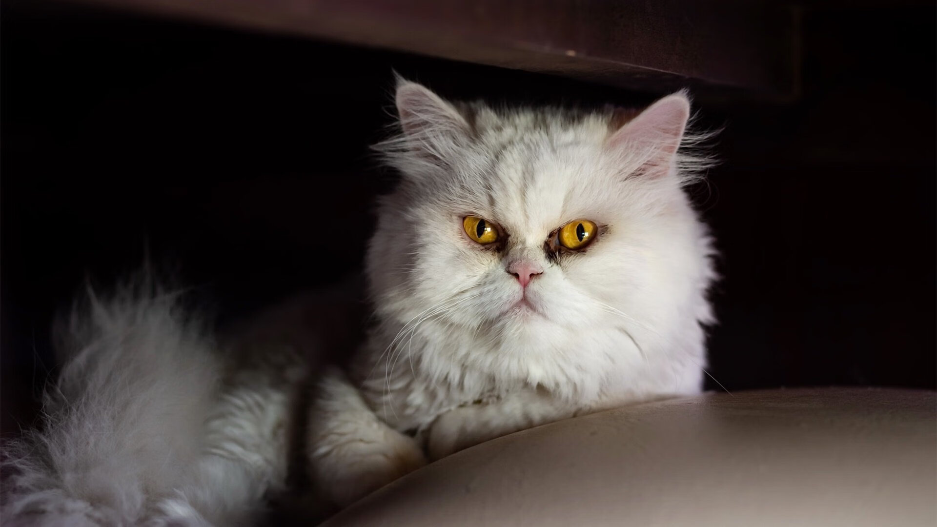 绿色马拉松倡环保,湖区互动体验受欢迎,生态马拉松