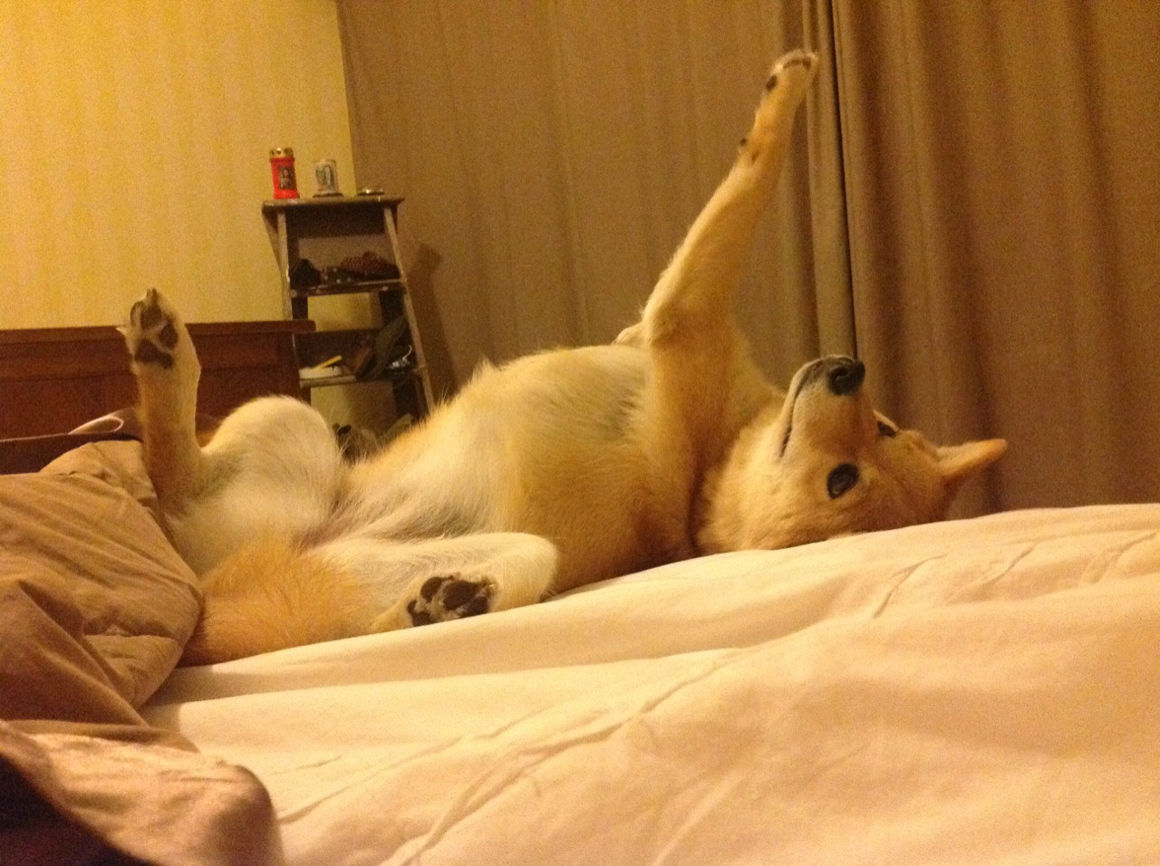 赛后声音教练谈判决关键