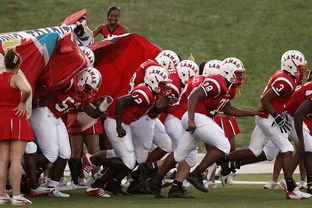 乐鱼体育App下载-威少强势复出奇才球队重返前八，威少奇才首秀