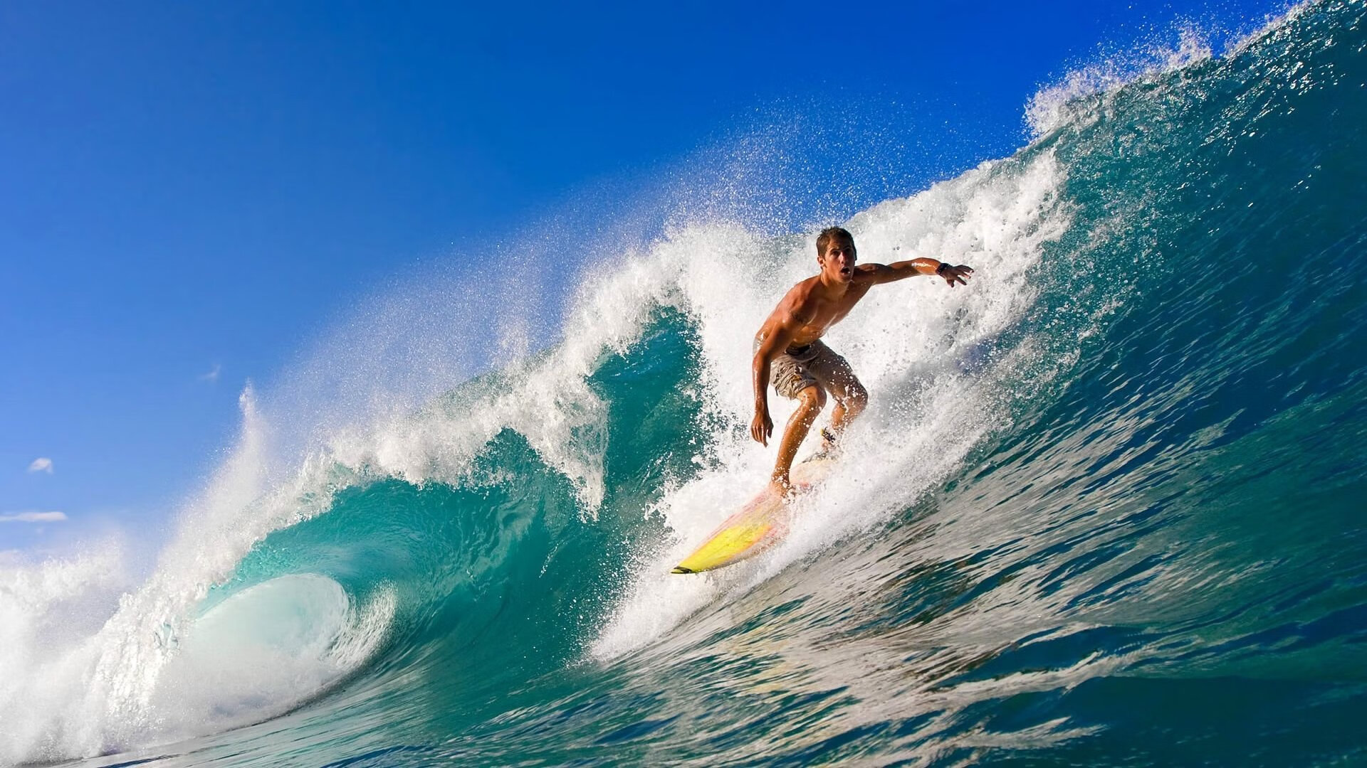 张伟丽晒训练照肌肉线条惊艳网友，张伟丽最近训练情况