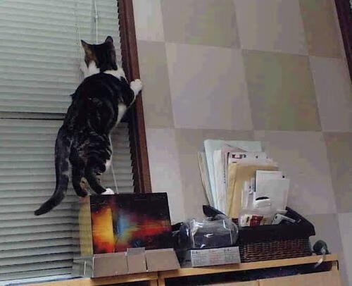 池中速度与体能稳定性形成训练亮点