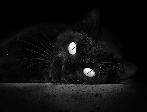 英超联赛进入关键阶段，激烈角逐冠军