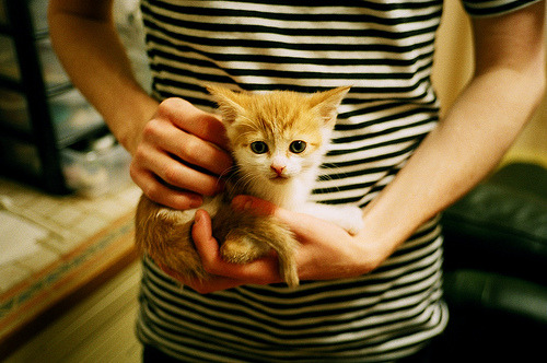 观众反馈推动服务优化，观众服务运行计划