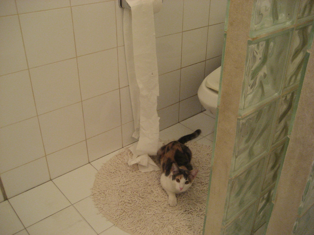 乐鱼体育平台官网-防守反击效率高，稳守中有亮点，防守反击的重点是在